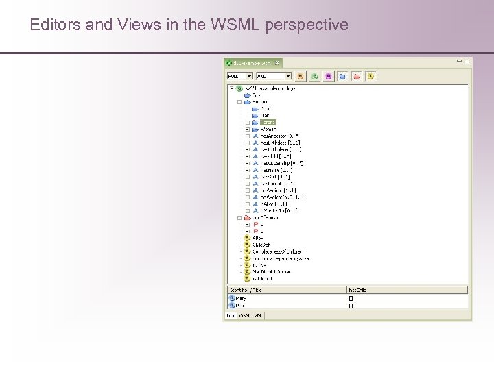 Editors and Views in the WSML perspective 