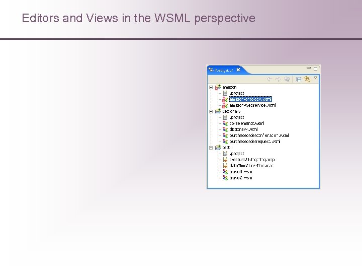 Editors and Views in the WSML perspective 