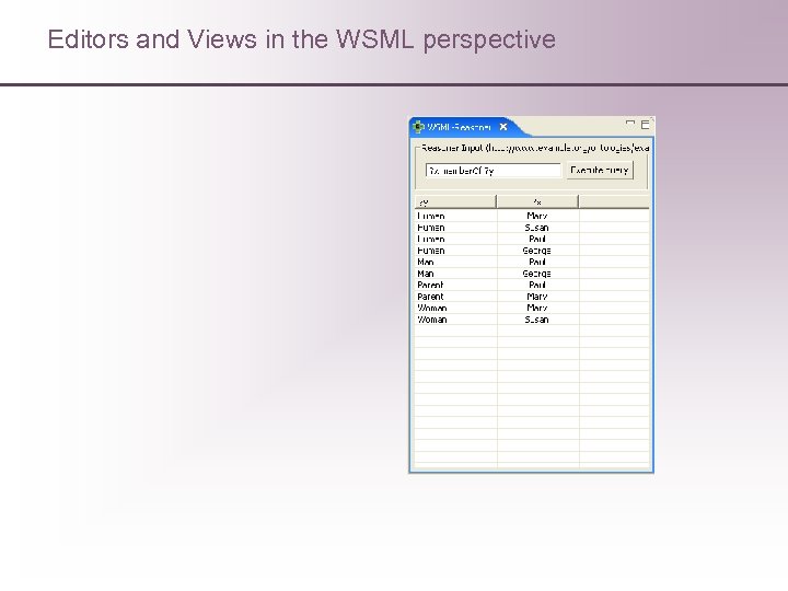 Editors and Views in the WSML perspective 