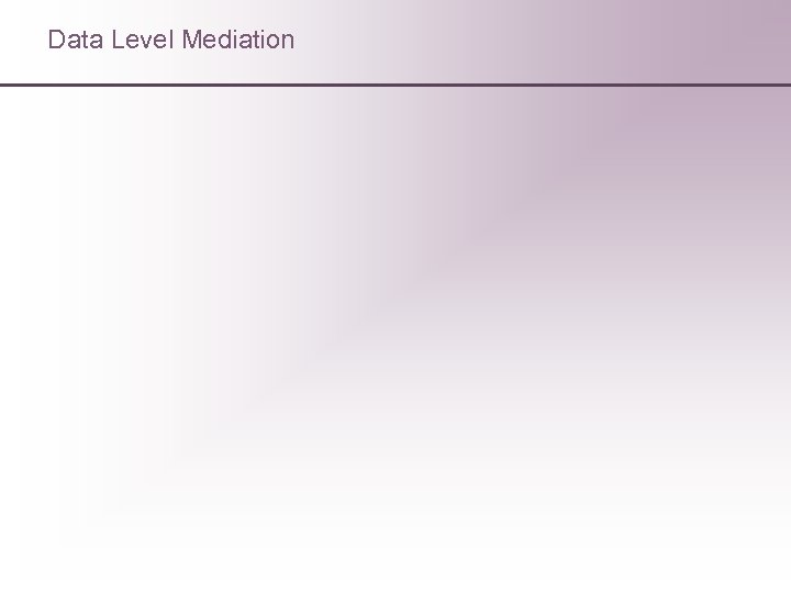 Data Level Mediation 