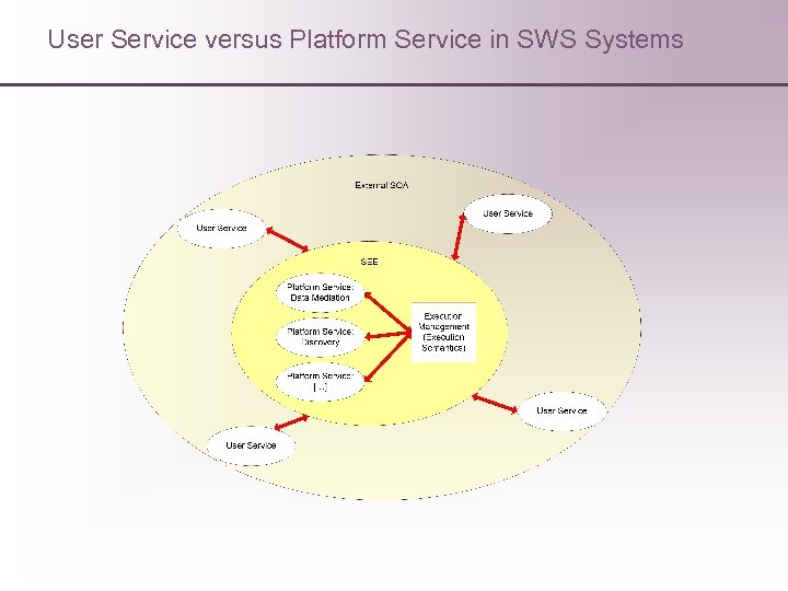 User Service versus Platform Service in SWS Systems 