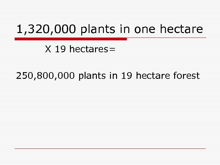 1, 320, 000 plants in one hectare X 19 hectares= 250, 800, 000 plants