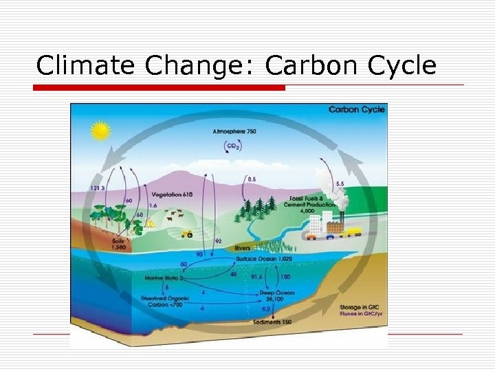 Climate Change: Carbon Cycle 