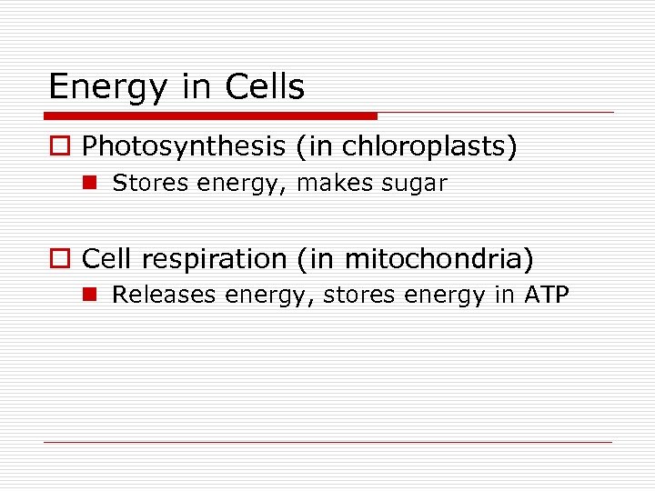 Energy in Cells o Photosynthesis (in chloroplasts) n Stores energy, makes sugar o Cell