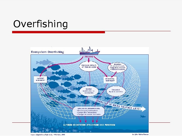 Overfishing 