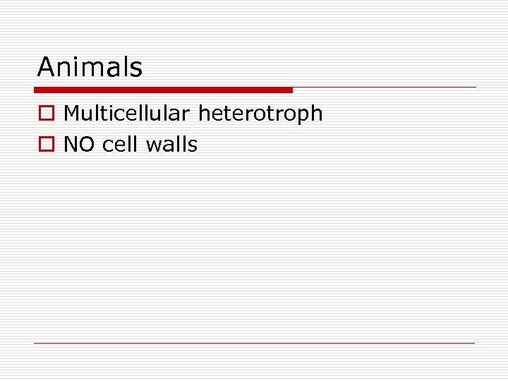 Animals o Multicellular heterotroph o NO cell walls 