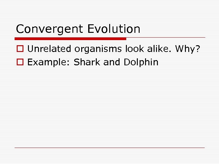 Convergent Evolution o Unrelated organisms look alike. Why? o Example: Shark and Dolphin 