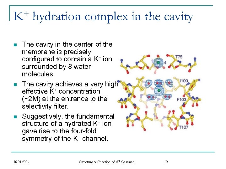 + K n n n hydration complex in the cavity The cavity in the