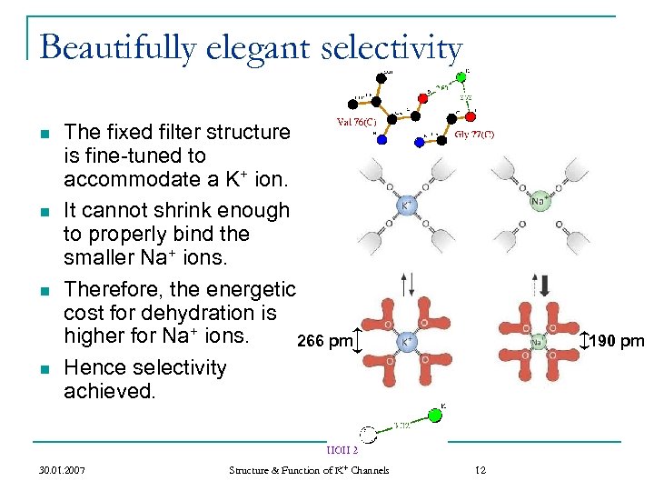 Beautifully elegant selectivity n n The fixed filter structure is fine-tuned to accommodate a