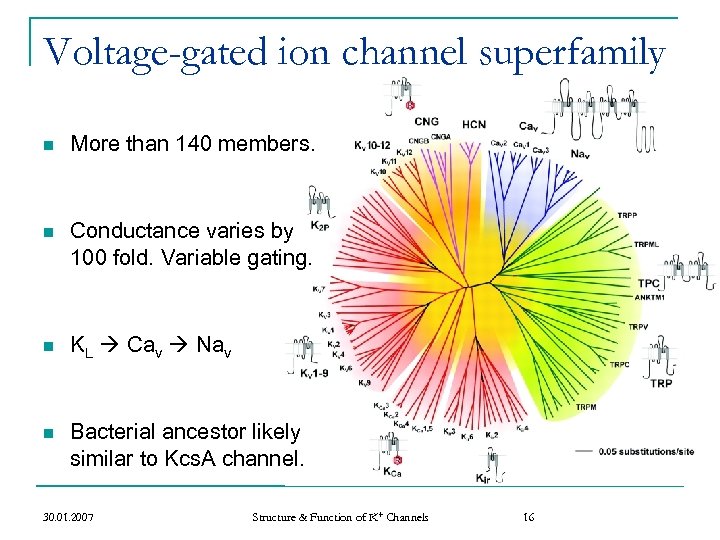 Voltage-gated ion channel superfamily n More than 140 members. n Conductance varies by 100