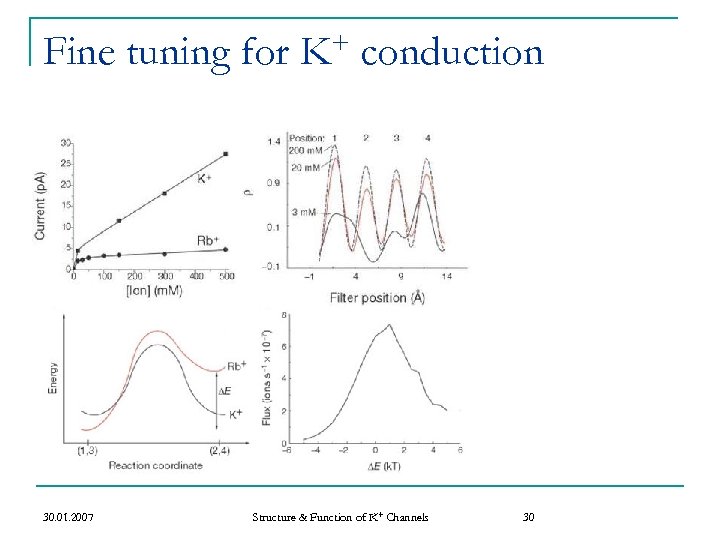 Fine tuning for 30. 01. 2007 + K conduction Structure & Function of K+