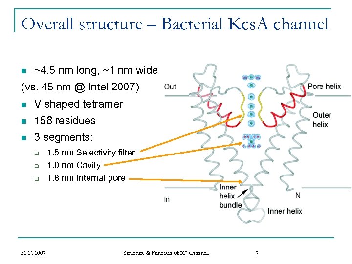 Overall structure – Bacterial Kcs. A channel n ~4. 5 nm long, ~1 nm