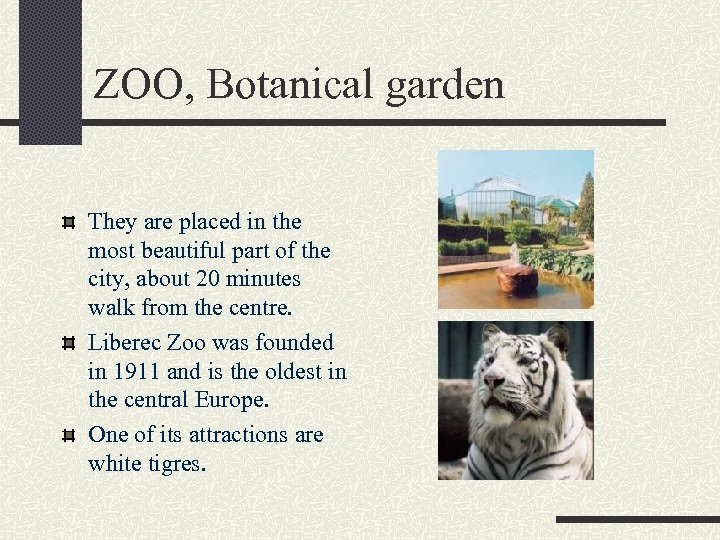 ZOO, Botanical garden They are placed in the most beautiful part of the city,