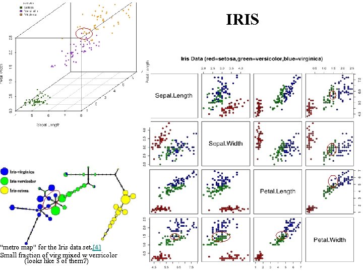 IRIS "metro map" for the Iris data set. [4] Small fraction of virg mixed