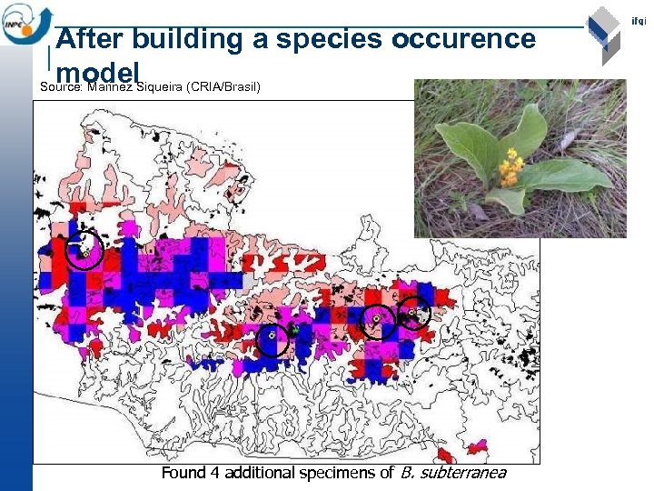 After building a species occurence model Source: Marinez Siqueira (CRIA/Brasil) Found 4 additional specimens