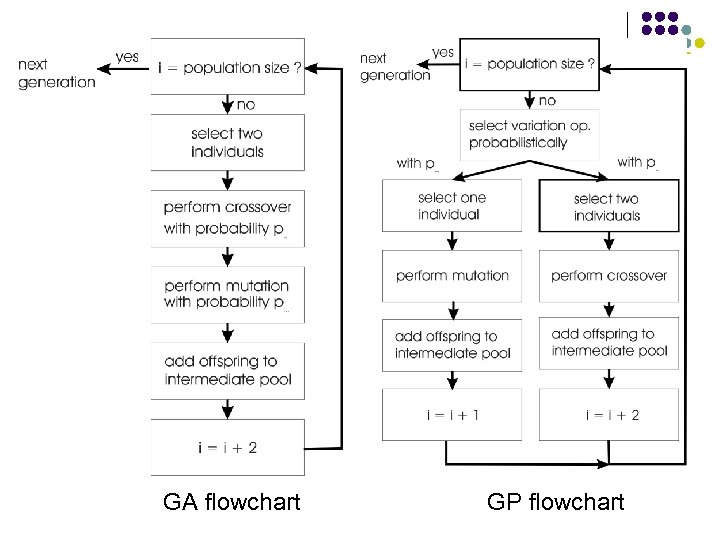 GA flowchart GP flowchart 