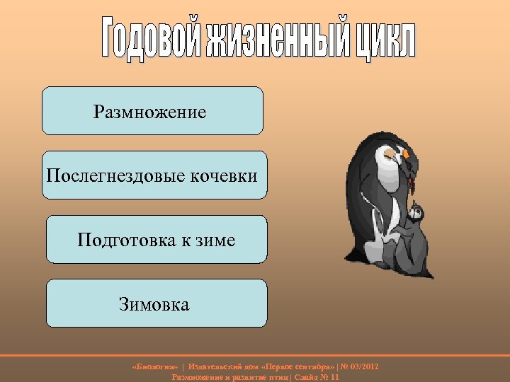 Размножение Послегнездовые кочевки Подготовка к зиме Зимовка «Биология» | Издательский дом «Первое сентября» |