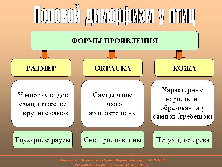 ФОРМЫ ПРОЯВЛЕНИЯ РАЗМЕР ОКРАСКА КОЖА У многих видов самцы тяжелее и крупнее самок Самцы