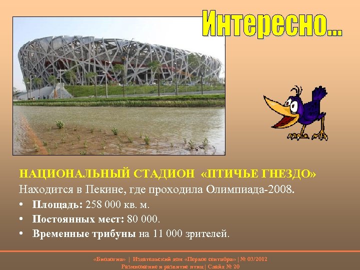 НАЦИОНАЛЬНЫЙ СТАДИОН «ПТИЧЬЕ ГНЕЗДО» Находится в Пекине, где проходила Олимпиада-2008. • Площадь: 258 000