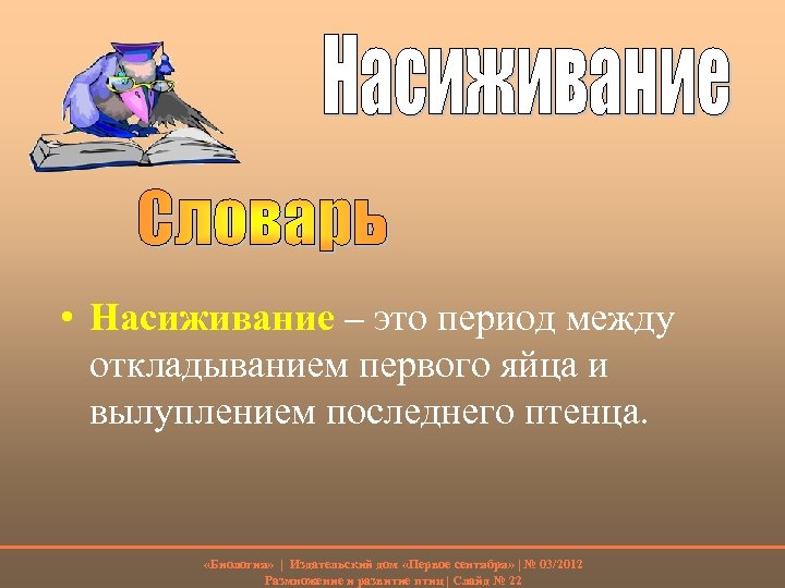  • Насиживание – это период между откладыванием первого яйца и вылуплением последнего птенца.