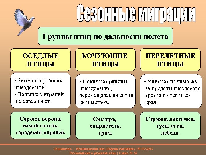Группы птиц по дальности полета ОСЕДЛЫЕ ПТИЦЫ КОЧУЮЩИЕ ПТИЦЫ • Зимуют в районах гнездования.