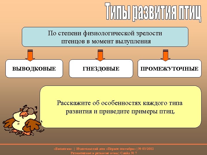 По степени физиологической зрелости птенцов в момент вылупления ВЫВОДКОВЫЕ ГНЕЗДОВЫЕ ПРОМЕЖУТОЧНЫЕ Расскажите об особенностях