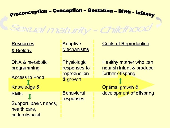 Resources & Biology Adaptive Mechanisms Goals of Reproduction DNA & metabolic programming Physiologic responses