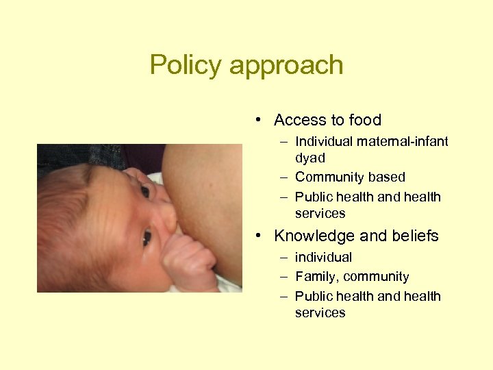 Policy approach • Access to food – Individual maternal-infant dyad – Community based –
