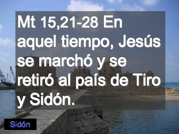 Mt 15, 21 -28 En aquel tiempo, Jesús se marchó y se retiró al