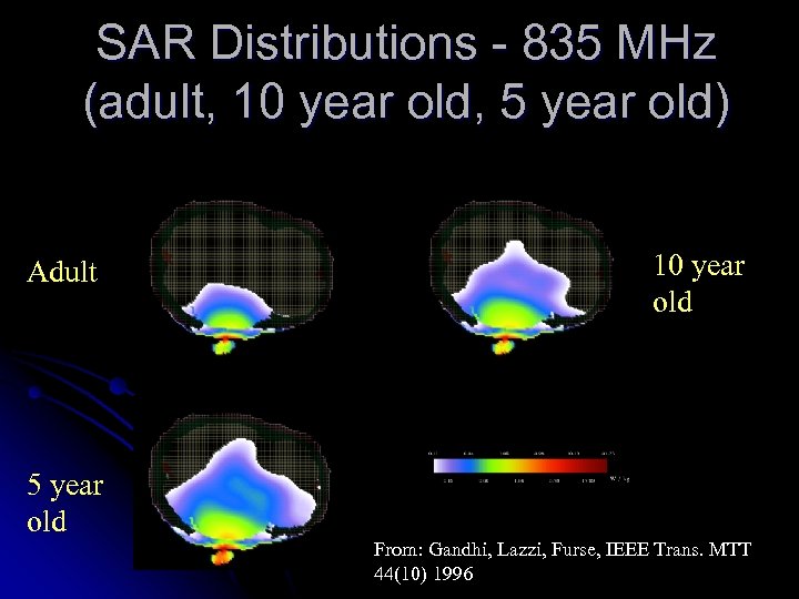 SAR Distributions - 835 MHz (adult, 10 year old, 5 year old) Adult 5