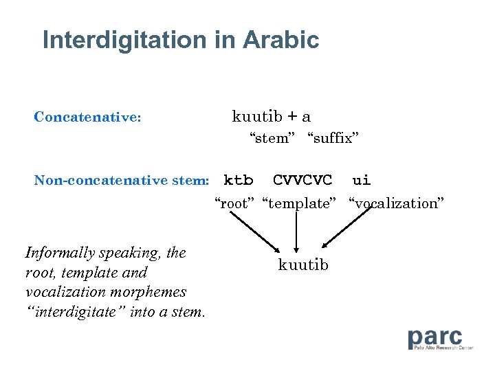 Interdigitation in Arabic Concatenative: kuutib + a “stem” “suffix” Non-concatenative stem: ktb CVVCVC ui
