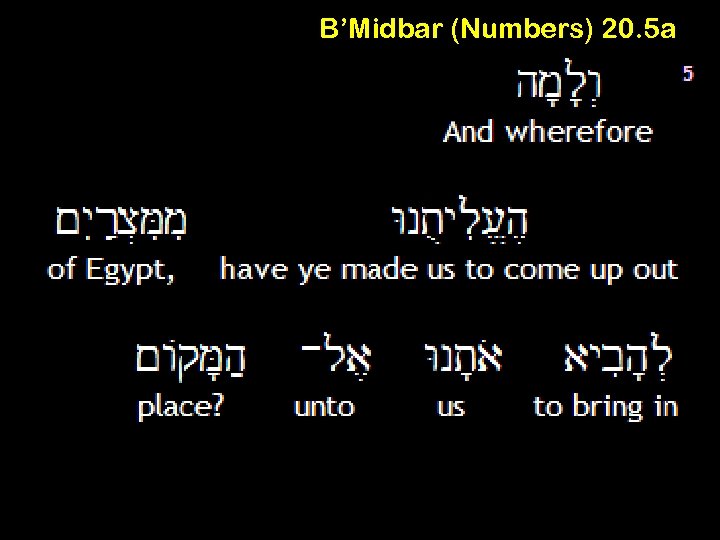 B’Midbar (Numbers) 20. 5 a 