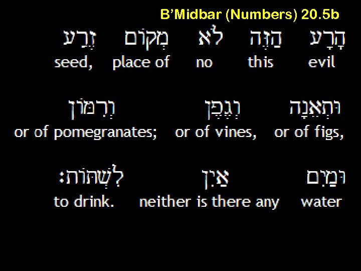 B’Midbar (Numbers) 20. 5 b 