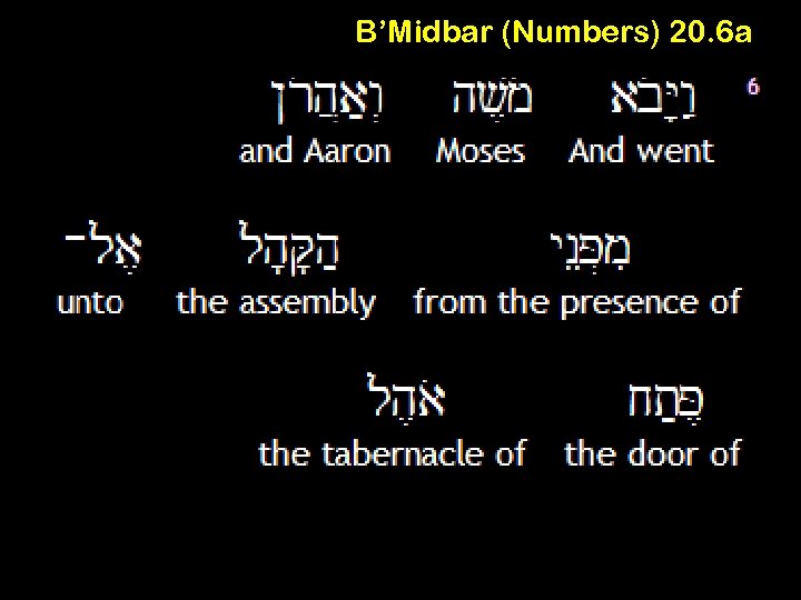 B’Midbar (Numbers) 20. 6 a 