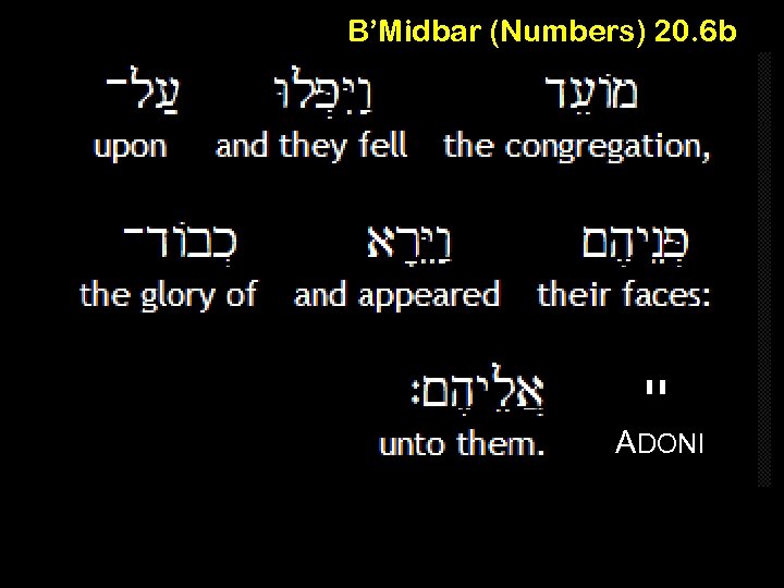 B’Midbar (Numbers) 20. 6 b יי ADONI 