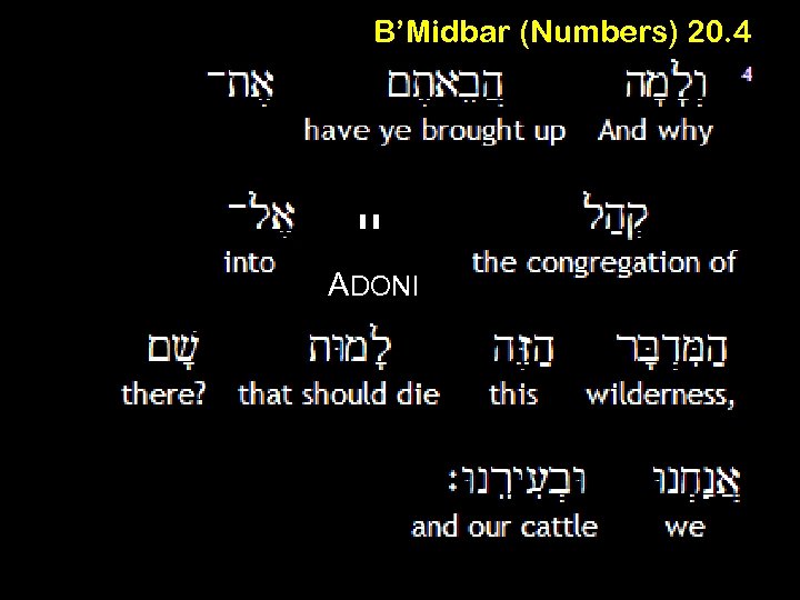 B’Midbar (Numbers) 20. 4 יי ADONI 