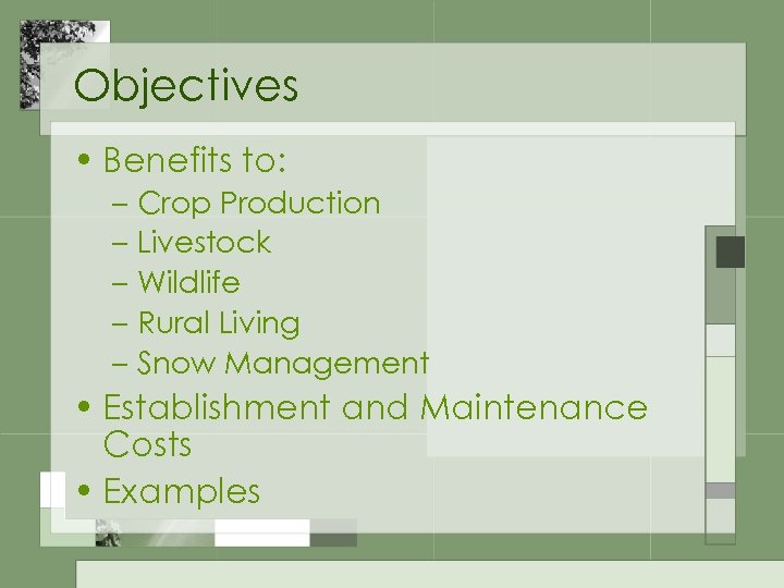 Objectives • Benefits to: – Crop Production – Livestock – Wildlife – Rural Living