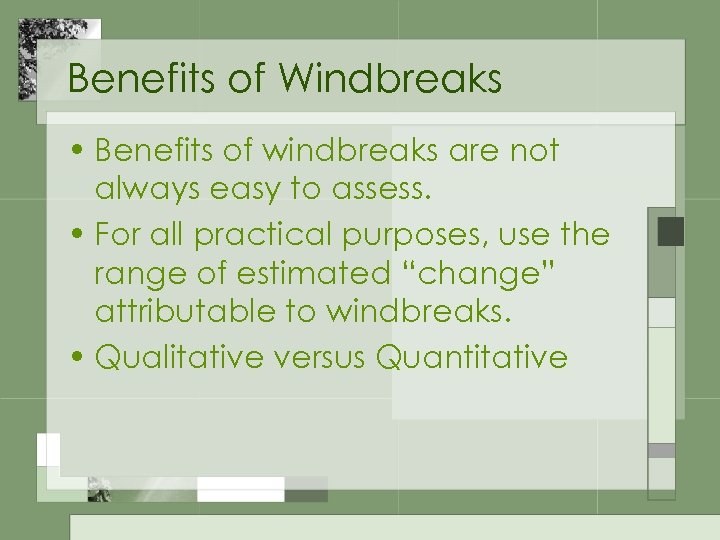 Benefits of Windbreaks • Benefits of windbreaks are not always easy to assess. •