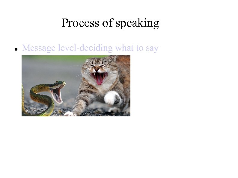 Process of speaking Message level-deciding what to say 