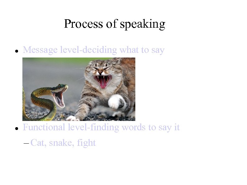 Process of speaking Message level-deciding what to say Functional level-finding words to say it
