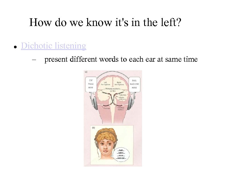 How do we know it's in the left? Dichotic listening – present different words