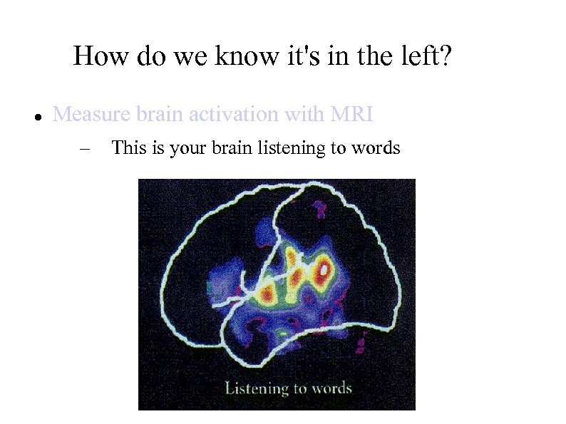 How do we know it's in the left? Measure brain activation with MRI –