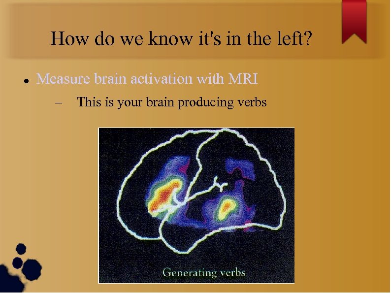 How do we know it's in the left? Measure brain activation with MRI –