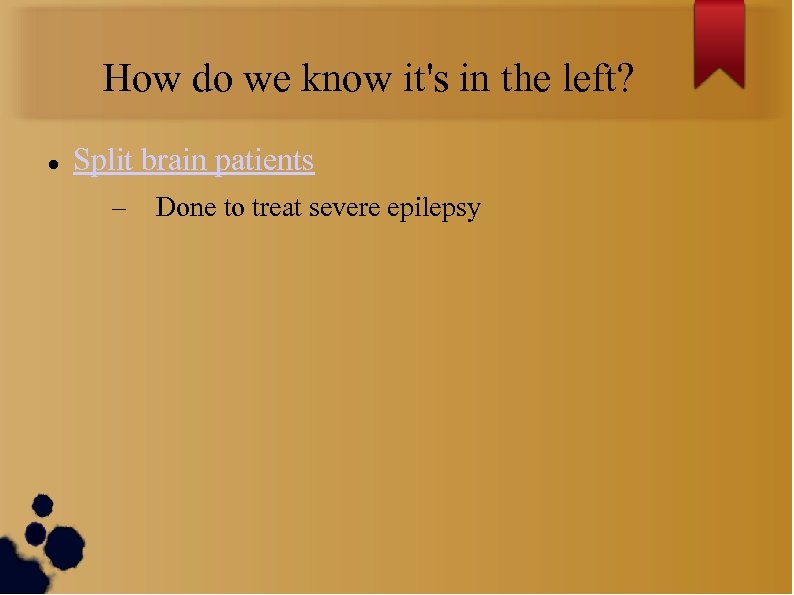 How do we know it's in the left? Split brain patients – Done to