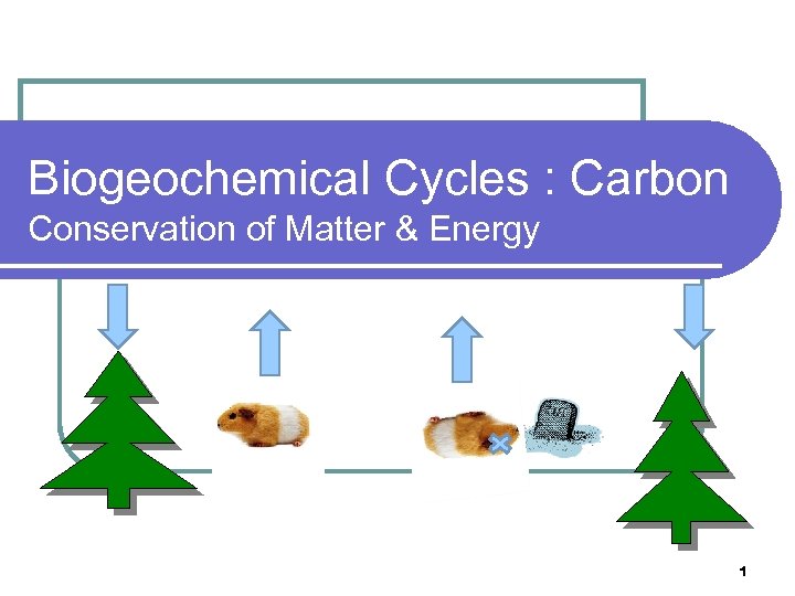 Biogeochemical Cycles : Carbon Conservation of Matter & Energy 1 