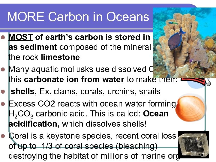 MORE Carbon in Oceans l l l (acid demo) MOST of earth’s carbon is