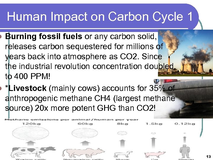 Human Impact on Carbon Cycle 1 Burning fossil fuels or any carbon solid, releases