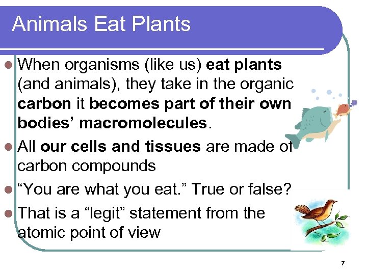 Animals Eat Plants l When organisms (like us) eat plants (and animals), they take