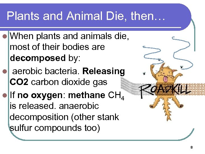 Plants and Animal Die, then… l When plants and animals die, most of their