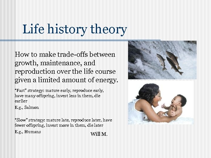 Life history theory How to make trade-offs between growth, maintenance, and reproduction over the